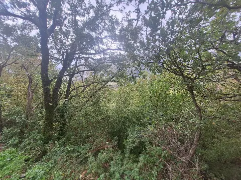 For Sale Land